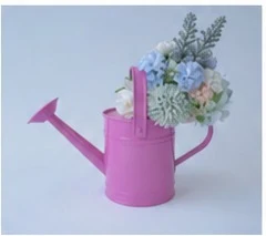 Grade 1 - Watering Can Prop